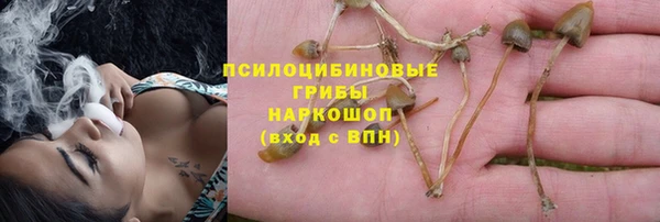 МДПВ Медвежьегорск