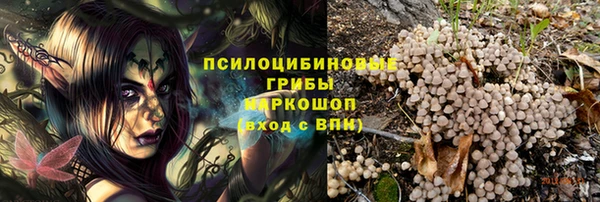 дживик Медногорск