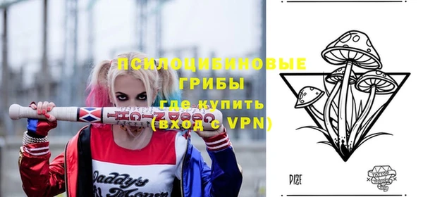 МДПВ Медвежьегорск