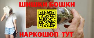 сатива Гатчина