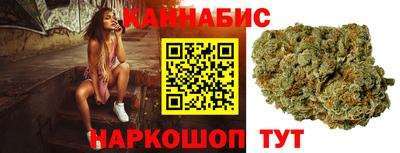 сатива Гатчина
