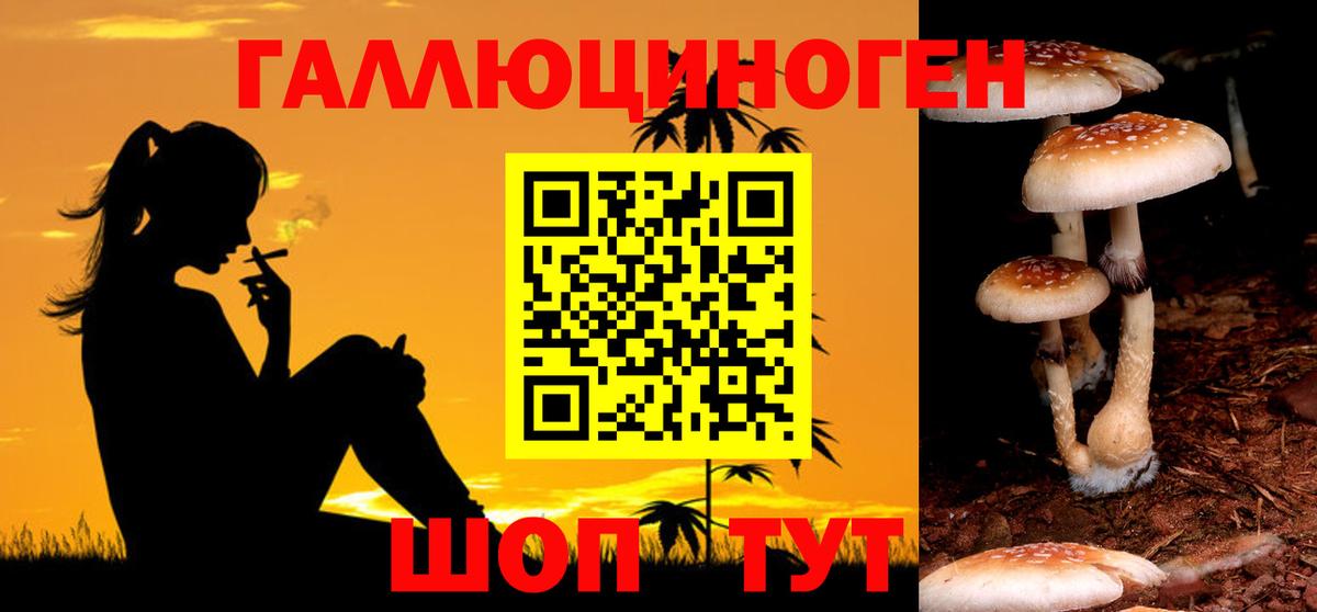 Псилоцибиновые грибы Cubensis Кирово-Чепецк