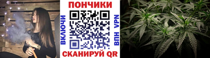 Бошки Шишки конопля Кирово-Чепецк